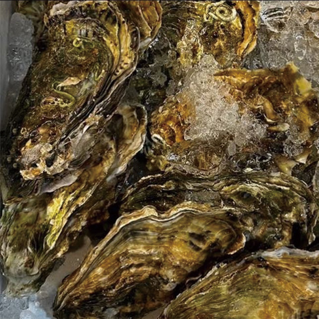 �̥�����1��