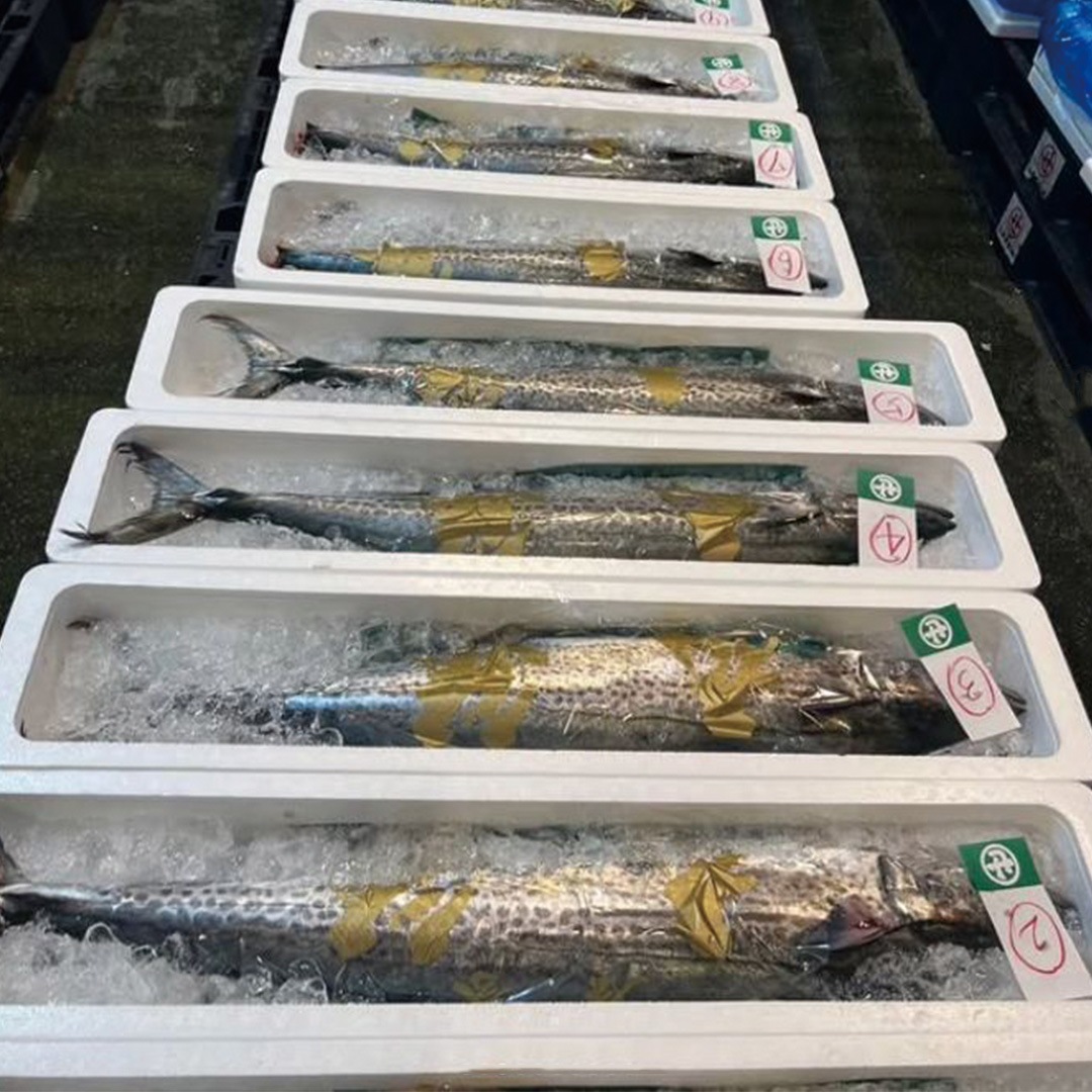 ����顡����