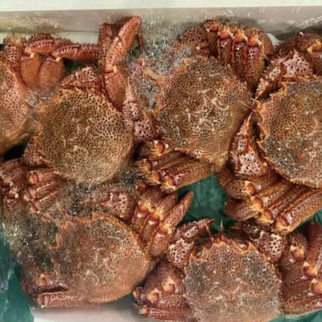 ���ӥ��ˡ�����