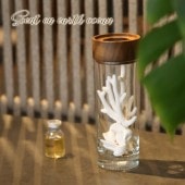 ꥾Ȼ ꡼ɥǥե塼 ǥե塼   ڥ꥾ȥƥꥢ