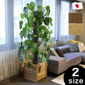 �ץ�󥿡����С� ���� ̵���� ��������ʥå� ������ �緿 ������� ������ ������