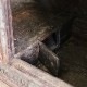 ����ƥ������ȶ� ����ӥͥå� ���դ� ��Ǽ �ź� ������ ŷ���� ��ȥ� ��Ÿ���ʡ�