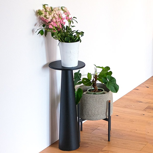  ϥơ֥ ⤵80  ߷ơ֥  󥭡ݥå̵ ֥å lunar(ʡ) SENSO de VITA(  )ۡҸΤ̲ʡ