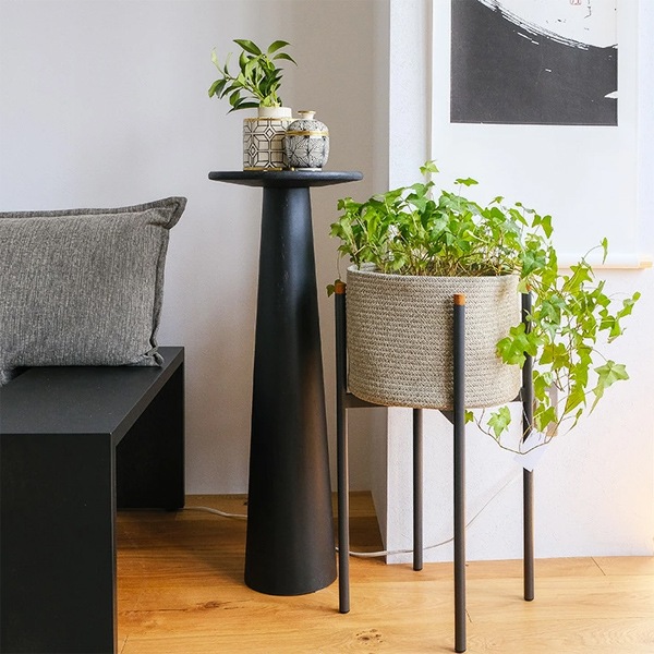  ϥơ֥ ⤵80  ߷ơ֥  󥭡ݥå̵ ֥å lunar(ʡ) SENSO de VITA(  )ۡҸΤ̲ʡ