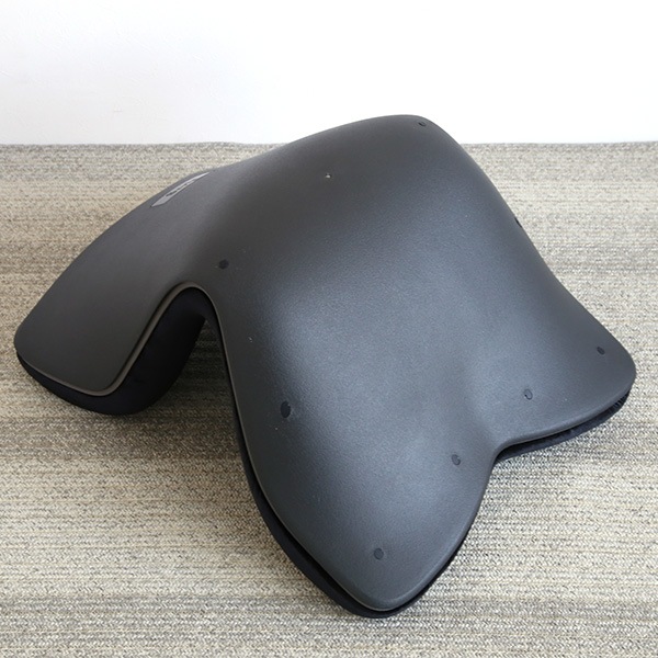 Style PREMIUM DX �ػҤξ���֤��°ػ� ���ե��� �ǥ������ �������������ȥ��å����