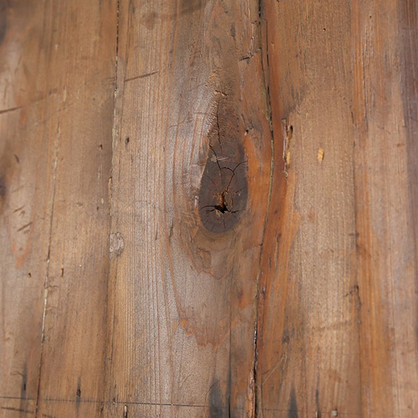 ƥȶ ӥͥå Ǽ 㥤ˡ ź åץܡ  ŷ ȥ Ÿʡ