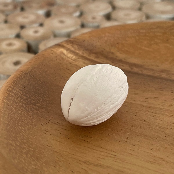  ꥾Ȼ ƥꥢ  塼ʥå ԡʥå  ڥ꥾ȥƥꥢ