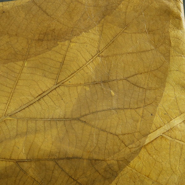 �꡼�� iPad������ ���֥�åȥ����� ��ʪ���� �������� �ڥ꥾���ȥ���ƥꥢ��