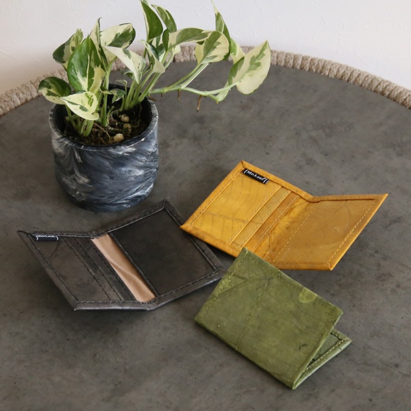 �꡼�� �����ɥ����� ��ʪ���� �������ߡڥ꥾���ȥ���ƥꥢ��