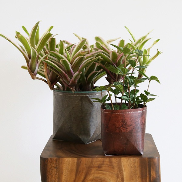 �꡼�� �ץ�󥿡����С� ȭ���С� S/M/L �ڥ꥾���ȥ���ƥꥢ��