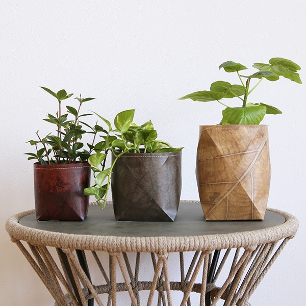 �꡼�� �ץ�󥿡����С� ȭ���С� S/M/L �ڥ꥾���ȥ���ƥꥢ��