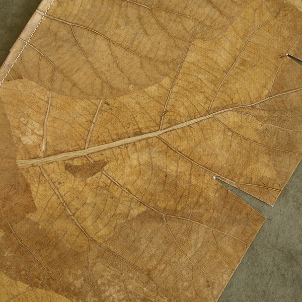 �꡼�� �ץ�󥿡����С� ȭ���С� S/M/L �ڥ꥾���ȥ���ƥꥢ��