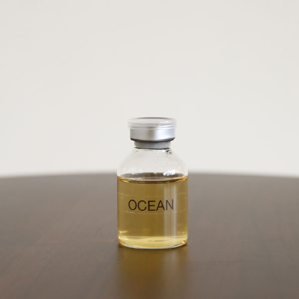 ꥾Ȼ ꡼ɥǥե塼 ǥե塼   ڥ꥾ȥƥꥢ