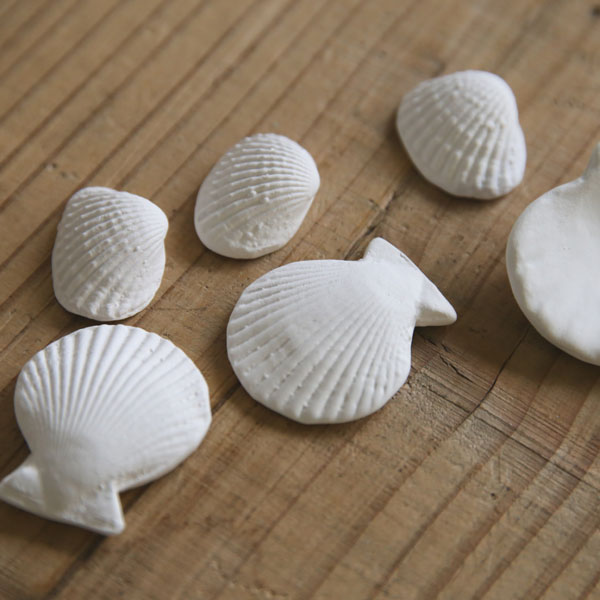 ꥾Ȼ ꡼ɥǥե塼 ǥե塼   ڥ꥾ȥƥꥢ