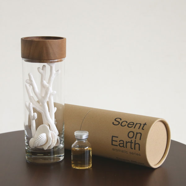 ꥾Ȼ ꡼ɥǥե塼 ǥե塼   ڥ꥾ȥƥꥢ