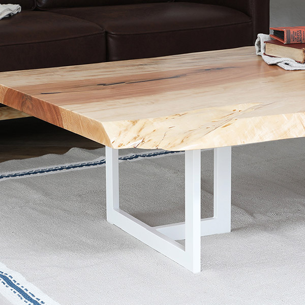  ơ֥ ˥ ơ֥  ֥å/ۥ磻 ƥ쥹