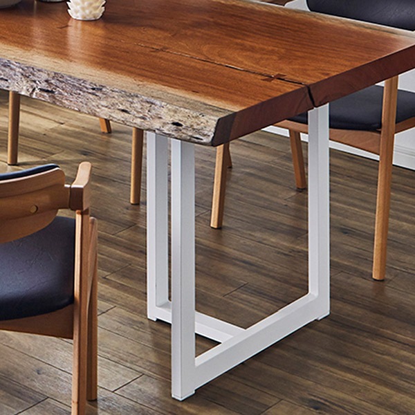  ơ֥ ˥ ơ֥  ֥å/ۥ磻 ƥ쥹