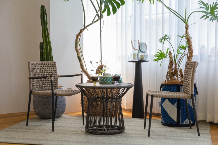 ȥɥӥ󥰤ڤ໰å б ߥŷ ֡(M) 졼Υ  ڥǥե˥㡼 SENSO de VITA(  )