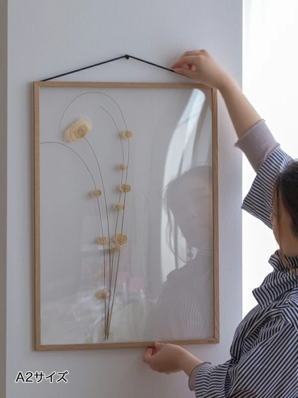 ŸʡȥåȡMOEBE ࡼ ե졼 A5 A4 A2 Ʃ  ƥꥢ եȥե졼 ̲