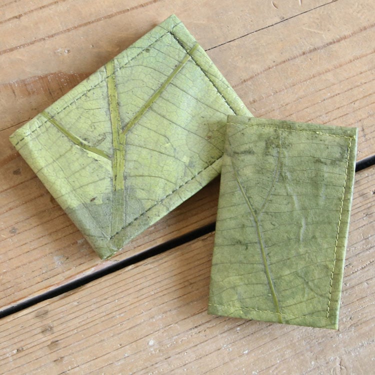 �꡼�� ��Ģ���С� 2���ޤ���� �������ߡڥ꥾���ȥ���ƥꥢ��