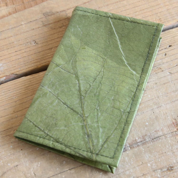 �꡼�� ��Ģ���С� 2���ޤ���� �������ߡڥ꥾���ȥ���ƥꥢ��