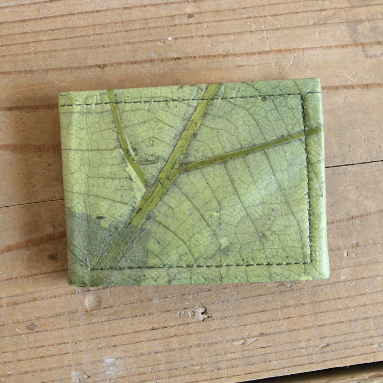 �꡼�� ��Ģ���С� 2���ޤ���� �������ߡڥ꥾���ȥ���ƥꥢ��