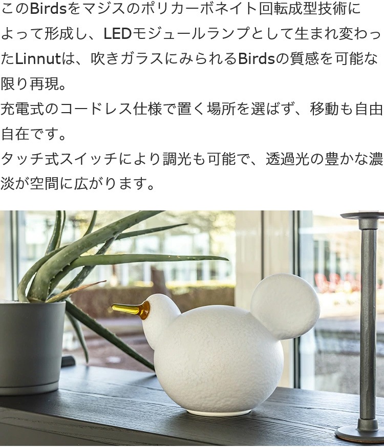 MAGIS(ޥ) ʥå  ơ֥饤  LI03