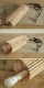 nido�ʥ˥ɡ�mini(�ߥ�) �ڥ����ȥ饤�� LED �̲���<br>�����ץ��������ѹ����Ƥ���ޤ�