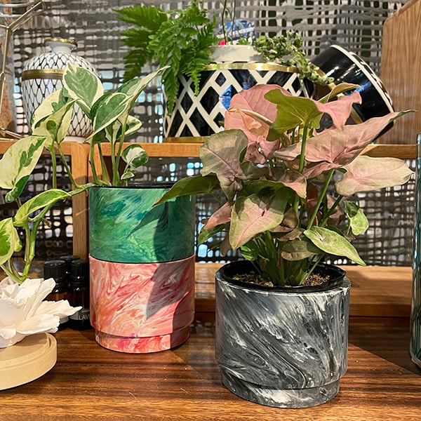 HOPE ȭ եݥå ľ10cmǥ顼5Τ줫襤ץ󥿡ݥå ڥ꥾ȥƥꥢ