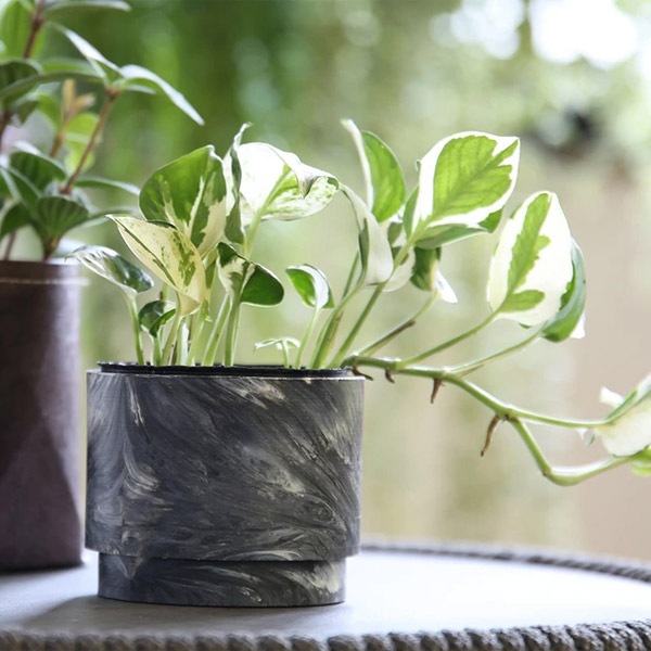 HOPE ȭ եݥå ľ10cmǥ顼5Τ줫襤ץ󥿡ݥå ڥ꥾ȥƥꥢ