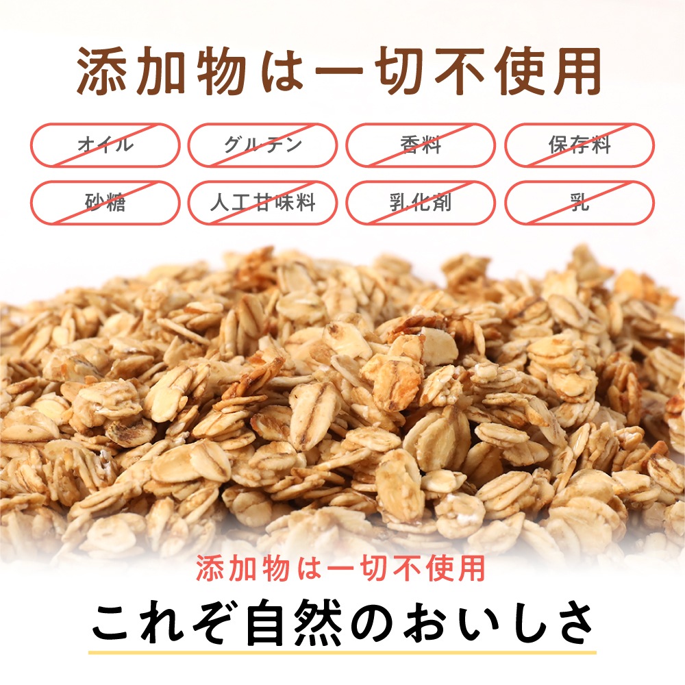 ノンオイル米麹グラノーラ トトノイライフ　プレーン 　160g