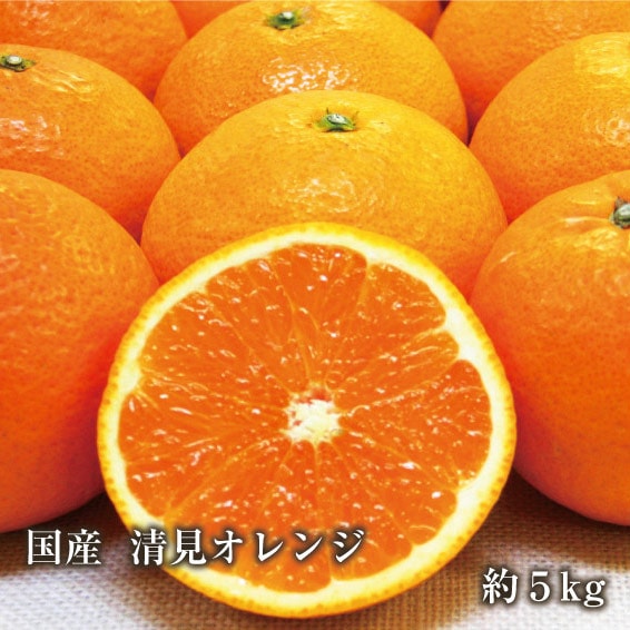 ������̵���۹񻺡����������5kg