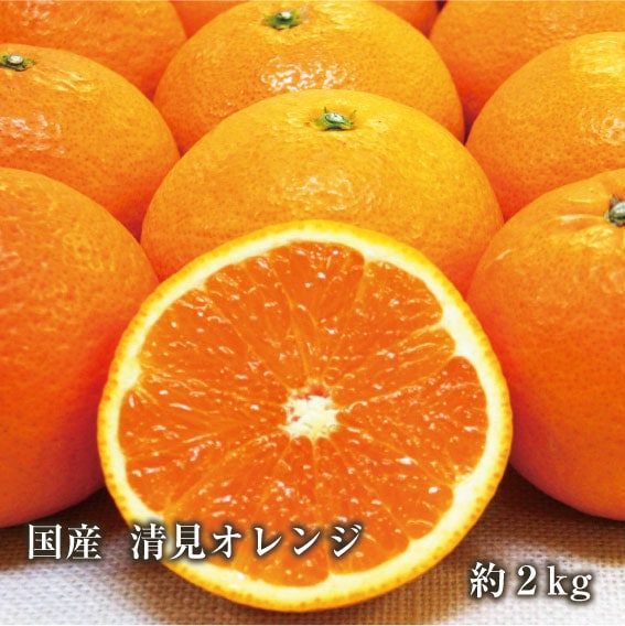 送料無料】国産 清見オレンジ2kg