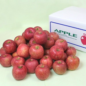 ������̵���ۻ���������γ����դ�10kg(40-50��)