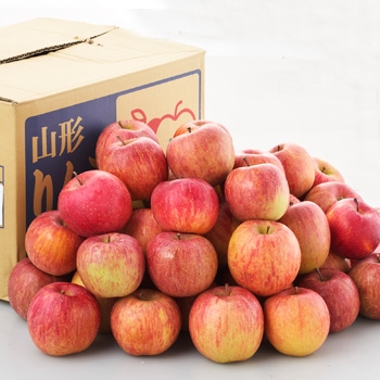 ������̵���ۡ�������ۻ�����ī��Į������󣱣�kg�ʥ��������ޤ����˵��ʳ��ʢ�����������ѷ�������