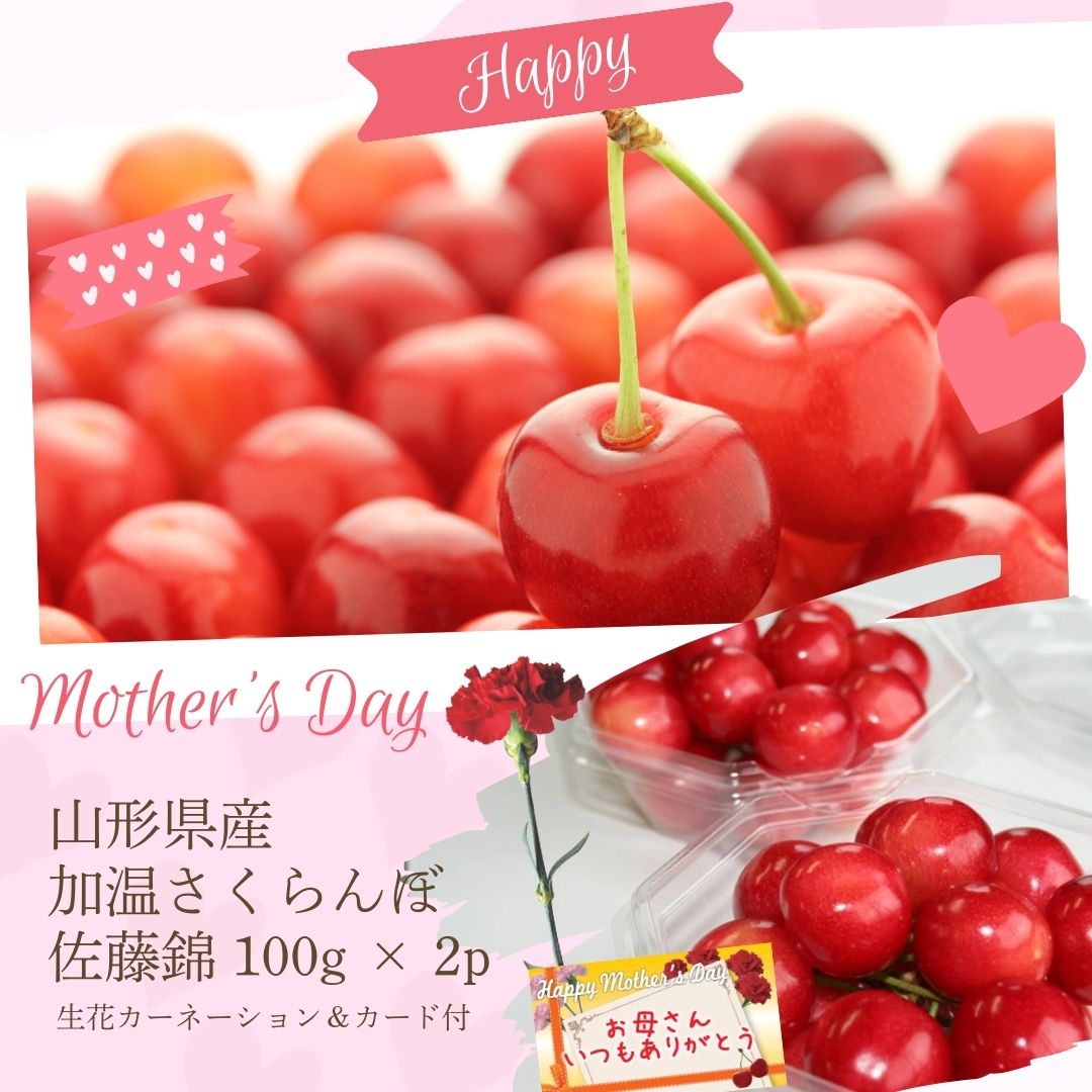 【送料無料】【母の日】山形県産ハウス栽培初ものさくらんぼ「佐藤錦」200g（100g×2P）【生花カーネーション、母の日カード付き】※母の日５日前頃から発送予定