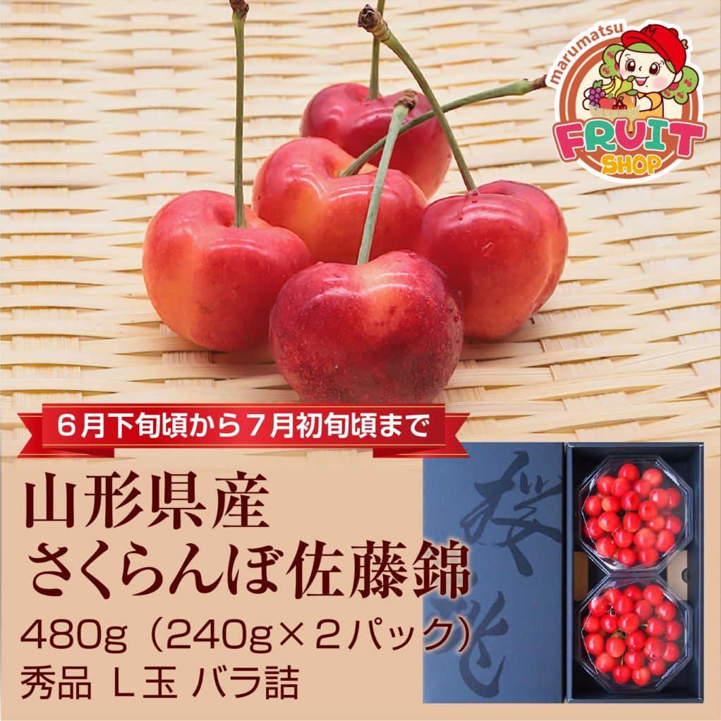 【送料無料】山形県産さくらんぼ佐藤錦480g（240g×2）(秀品Ｌ玉以上)ダイヤパック詰め
