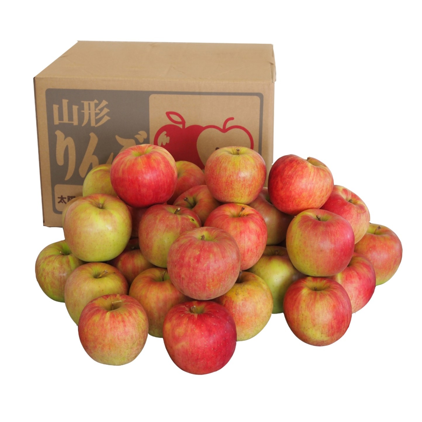 【送料無料】【訳アリ】山形県産りんご約10kg（サイズおまかせ）規格外品※小傷色ムラ変形等あり