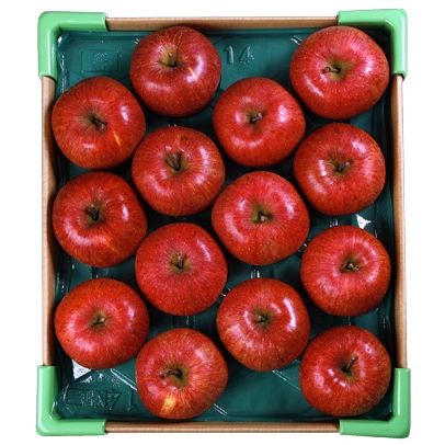 ������̵���ۡڸ���50Ȣ�ۡڴݾ��ץ�ߥ����ī��Į������դ�10kg