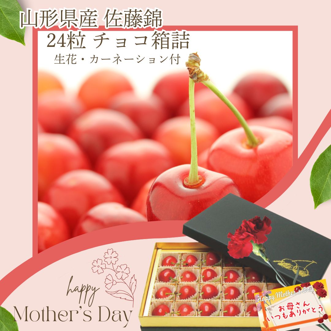 【前払い不可】母の日ギフト♪山形県産ハウス栽培初ものさくらんぼ「佐藤錦」（24粒入）【生花カーネーション】母の日カード付き※母の日６日前頃から発送予定