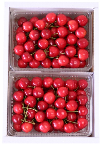 青年農業士の会 フルーツJAMの佐藤錦1kg(500×2P)