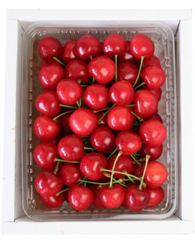 青年農業士の会 フルーツJAMの佐藤錦 500g