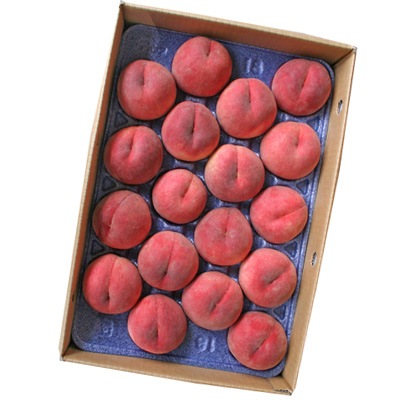 送料無料】山形県産白桃「おどろき」５kg（12-20玉入り）