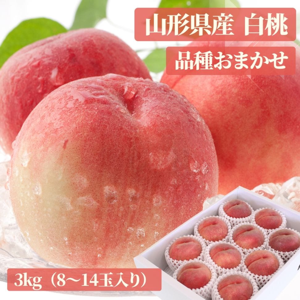 おすすめ！送料無料 山形県産白桃「品種おまかせ」3kg(8-14玉) ご贈答　ご家庭用に♪
