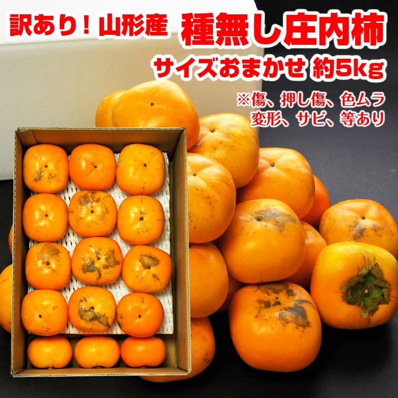 【前払い不可】訳あり 山形産庄内柿「平たねなし柿」5kg（サイズ玉数おまかせ）【前払い(郵便・コンビニ振込用紙)選択の場合は後払いに変更させていただきます】