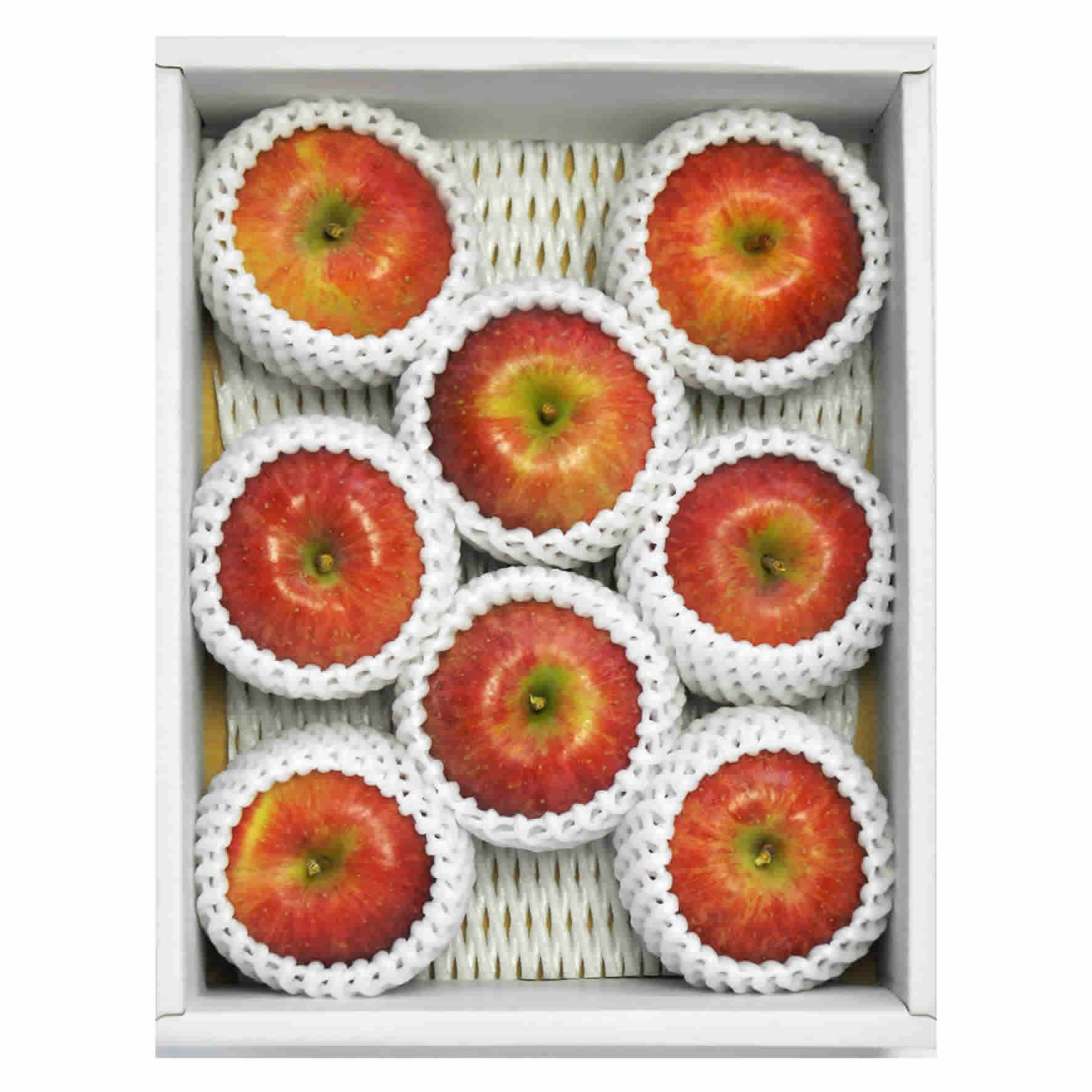 【前払い不可】山形県朝日町産「高徳」2kg（6-12玉）【前払い選択の場合は後払いに変更させていただきます】