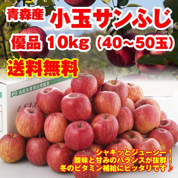 【送料無料】青森県産小粒サンふじ 優品 10kg(40-50玉)
