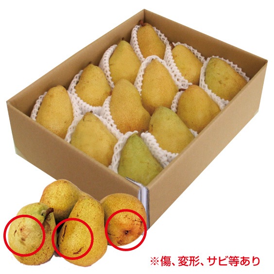 ̵ۡۻ֥ޥ륲åȥޥ꡼ףkg(ޤ)ѷ