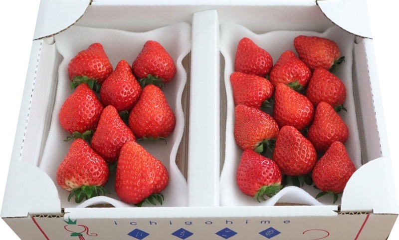 ���̸��ꡪ��������̣�������������������캬�� �Ȥ����Ȥ�DX ����280g 8-12γ��2P�ˡ�����̵����