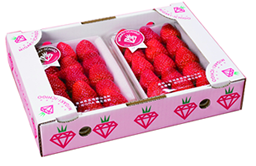 【送料無料】宮城県産「ミガキイチゴ」約320g×2ﾊﾟｯｸ（2Lサイズ）